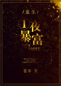 重生之一夜暴富 日夜天光