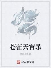 播放天苍苍野茫茫