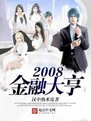 2008年金融风暴