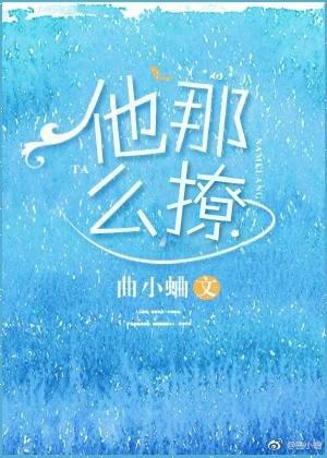 他那么撩作者