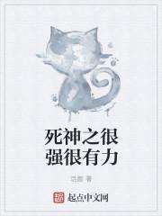 死神之最强剑八笔趣阁