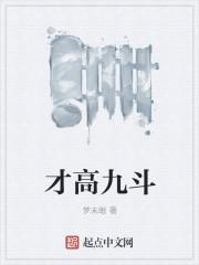 才高九斗 说 项羽