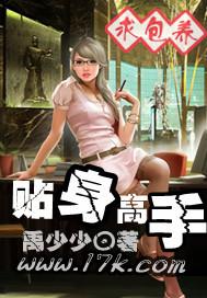 冰山总裁的贴身高手