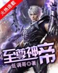 至尊神帝云城林颜