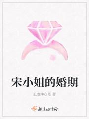 宋小姐每天都在闹婚结局