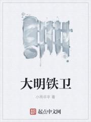 大明铁卫50集免费播放