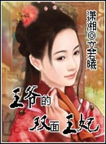 王爷的双面王妃 文若曦