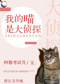 我的大猫咪