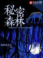 韩剧秘密的森林2
