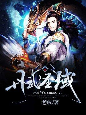 丹武圣帝在都市