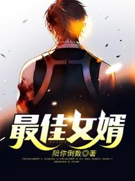 最佳赘婿怎么样
