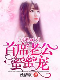 又名试婚老公要给力