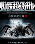 蜘蛛超级进化安装