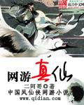 网游修真之仙幻情缘