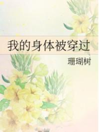 我的身体被穿过讲什么