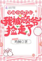 穿成小可怜后我被顾少年捡走了