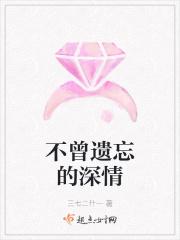不曾遗忘的暮色 电视剧