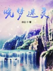 晓梦迷蝶免费