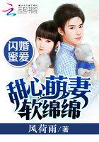 闪婚总裁甜蜜蜜宠免费