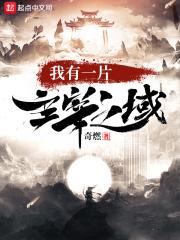 我有一片主宰之域TXT