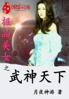 极品武神情感