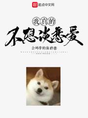 我真的不想谈恋爱了歌词