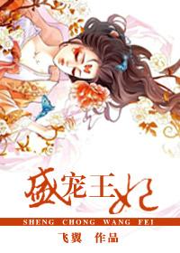 盛宠穿越王妃免费阅读