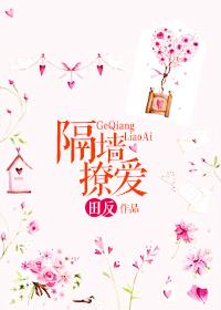 墙隔墙