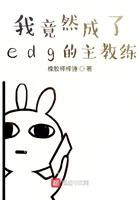 edg教练bp