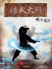 传武大师对战搏击视频