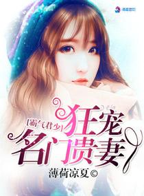 都市之终极奶爸完整版