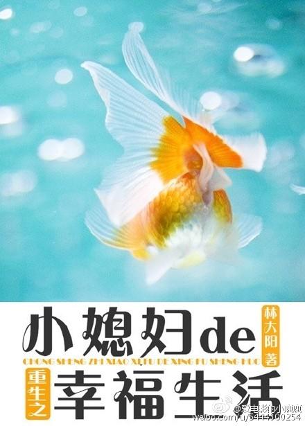 重生之小媳妇的幸福人生