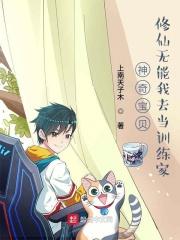 神奇宝贝之无敌训练师