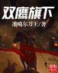 双鹰是什么牌子