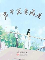 作者初酒君君爷宠妻、深入骨