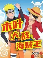 木叶丸战斗视频