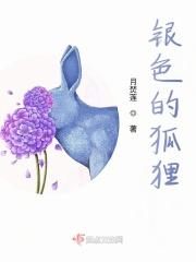 银色的狐狸的动画片