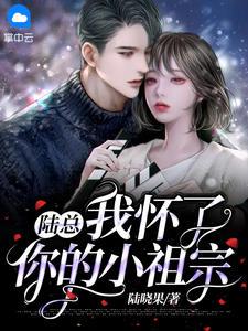陆总我怀了你的小祖宗101集免费观看
