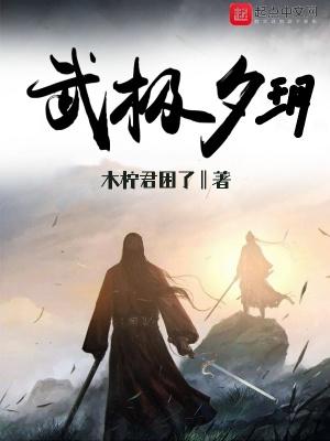 武极ryan