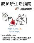 庇护所新手教程