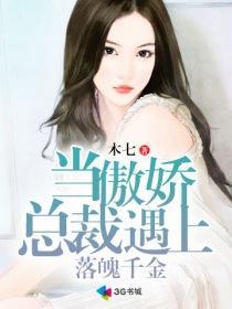 傲娇总裁苦追妻