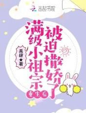 满级重生的