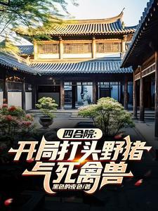 四合院开局怒怼一大爷