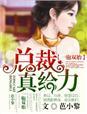 一胎双胞总裁大人超给力免费阅读全文