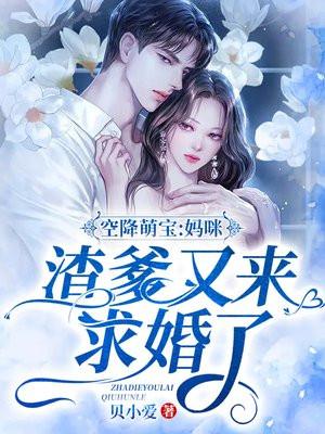 霸总追妻记gl