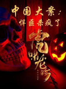 中国十大悍匪纪实 纪录片