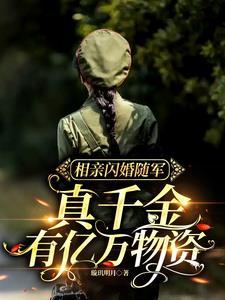 相亲闪婚宠妻