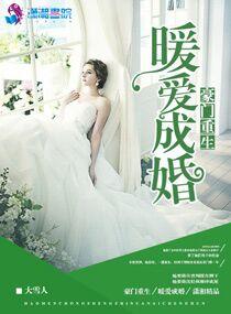 重生豪门之暖爱成婚