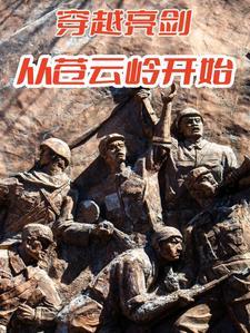 穿越亮剑的
