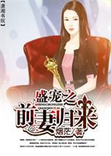 盛宠前妻老婆再来一次免费阅读